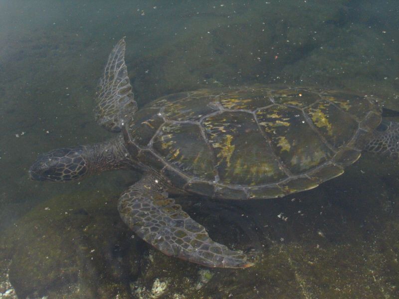 Samoa - Savaii