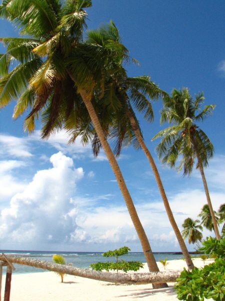 Samoa - Savaii