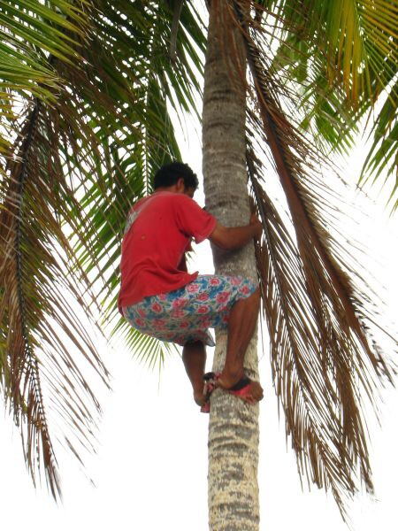 Samoa - Savaii