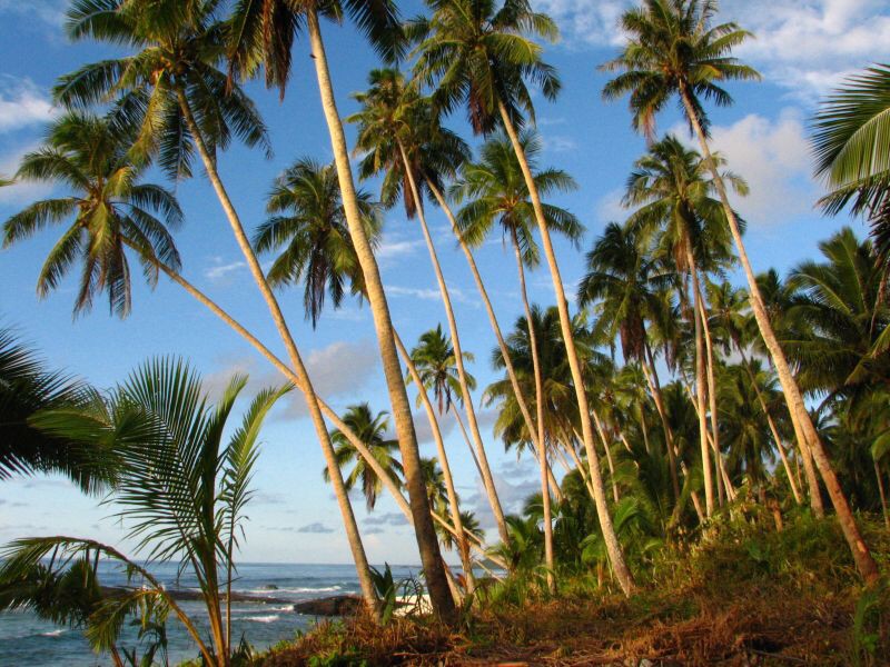 Samoa - Savaii