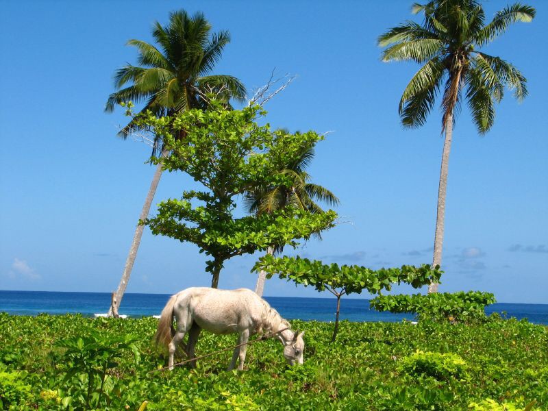 Samoa - Savaii