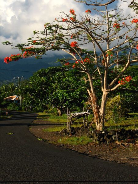 Samoa - Savaii