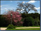Jméno: 01_Palava_2008 