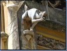 Jméno: 02_Palava_2008 