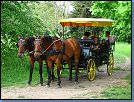 Jméno: 07_Palava_2008 