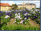 Jméno: 15_Palava_2008 
