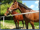 Jméno: 18_Palava_2008 