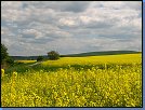 Jméno: 21_Palava_2008 