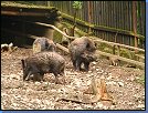 Jméno: 03_Dolni_Brezany_2008 