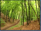 Jméno: 05_Dolni_Brezany_2008 