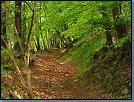 Jméno: 12_Dolni_Brezany_2008 