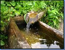 Jméno: 05_Krkonose_cervenec_2008 