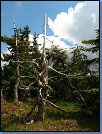 Jméno: 12_Krkonose_cervenec_2008 