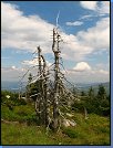 Jméno: 15_Krkonose_cervenec_2008 