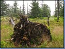 Jméno: 16_Krkonose_cervenec_2008 