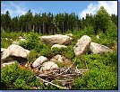 Jméno: 20_Krkonose_cervenec_2008 