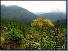 Jméno: 21_Krkonose_cervenec_2008 