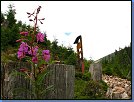 Jméno: 22_Krkonose_cervenec_2008 