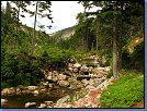 Jméno: 25_Krkonose_cervenec_2008 