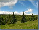 Jméno: 43_Krkonose_cervenec_2008 