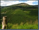 Jméno: 49_Krkonose_cervenec_2008 