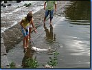 Jméno: 39_Mala_Skala_srpen_2008 