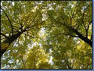 Jméno: 02_Podzim_2008 