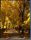 Jméno: 05_Podzim_2008 