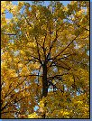 Jméno: 06_Podzim_2008 