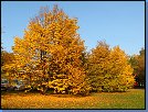 Jméno: 08_Podzim_2008 