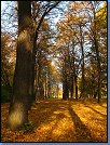 Jméno: 10_Podzim_2008 