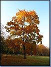 Jméno: 11_Podzim_2008 