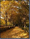 Jméno: 12_Podzim_2008 